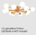 12-luzes