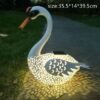 cisne