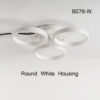 b079-w
