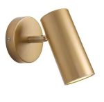 dourado-b