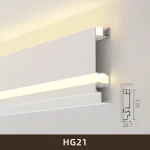 hg21-27120