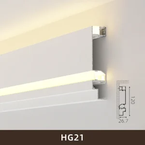 hg21-27120