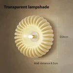 transparente