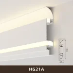 hg21a-27160