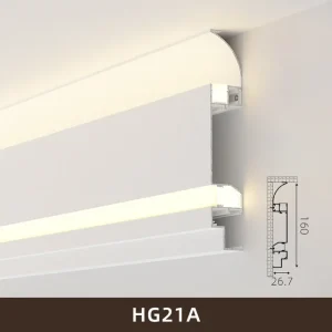 hg21a-27160