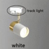 branco-e-dourado-para-trilho