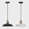 HTB1z5tBSrrpK1RjSZTEq6AWAVXaC Pendente industrial retrô loft