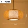 h-40cm