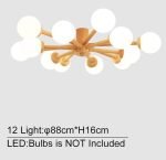 12-luzes