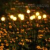 Luz-LED-Solar-para-Decora-o-de-Jardim-Ar-Livre-Luzes-de-Paisagem-Fogo-de-Artif Vagalume decorativo jardins luz LED Solar