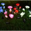 Flores/Rosa decoração jardins led luz solar