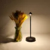 S9562cd8d7dca406d899f268cfaaa7cd95 Luminária Mesa Sem Fio De e LED Recarregável