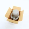 SML-Express-Dog-in-Box-C-o-na-Caixa-Sticky-Monster-Lab-Figure-Decora-o-Criativa-1 Cão Na Caixa Brinquedo Designer Exclusivo