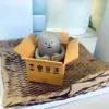 SML-Express-Dog-in-Box-C-o-na-Caixa-Sticky-Monster-Lab-Figure-Decora-o-Criativa-3 Cão Na Caixa Brinquedo Designer Exclusivo