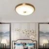 Moderno-Vidro-Redondo-Sombra-Luzes-de-teto-CONDUZIU-Sala-De-Estar-Luz-Do-Quarto-L-mpada-1 Luminária Sobrepor Vidro Redondo Modelo 2024/2025