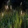 kf-Scbe0877f20c349afa943efb28916737ep-courtyard-lamp-outdoor-waterproof-outdoor-club-park-lawn-lamp-grass-ground-lamp-landscape-lamp-Garden-Villa Luminária VagaLume À Prova D'Água Formato Junco
