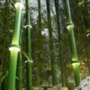 kf-Sdf63f5c11601405ba7f9148be706705dK-Solar-Lights-Bamboo-Bollard-Lamp-Outdoor-Decorative-Solar-Garden-LED-Lights-Lawn-Lamp-for-Yard-Patio Luminária Solar Jardim Amarração Forma De Bambu