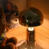 Abajur Cogumelo  Sem Fio Carregamento USB